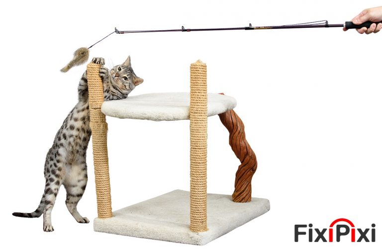 product photo editing