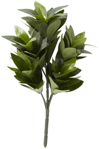 Complex clipping path service