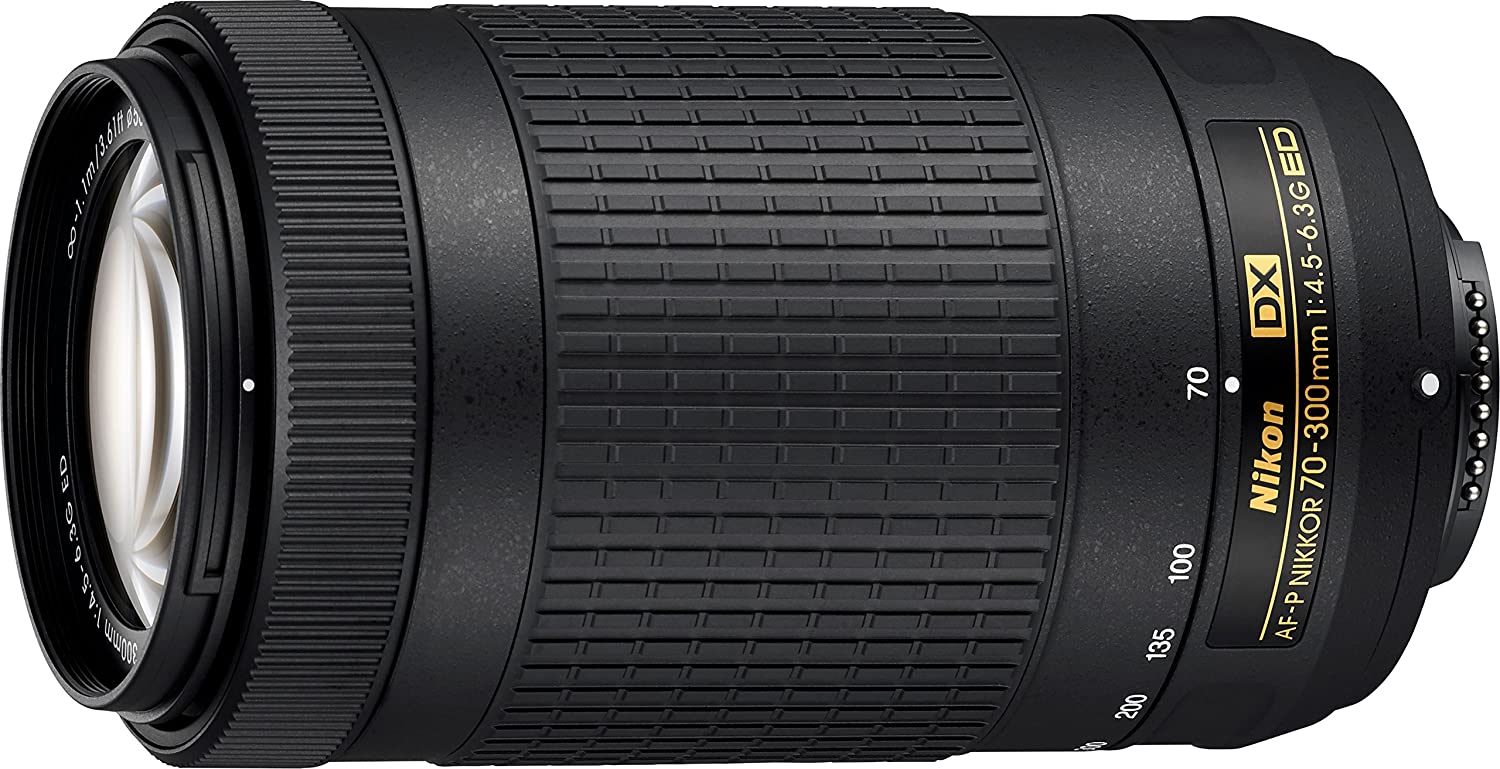 The Top 10 Best Zoom Lens for Nikon D7100 Fixipixi